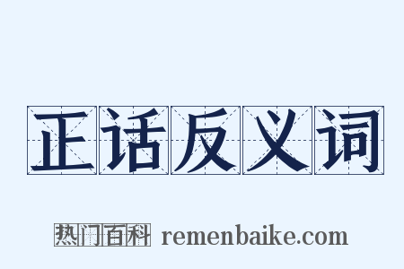 正话反义词是什么意思的图片